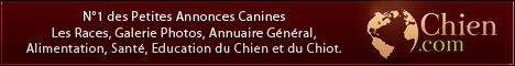 Petites Annonces Canines sur Chien .com